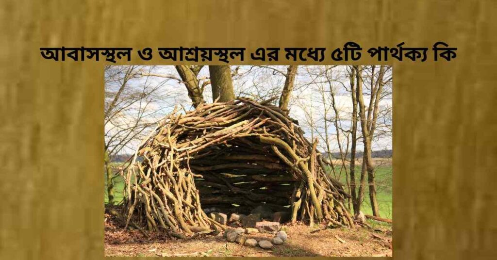 আবাসস্থল ও আশ্রয়স্থল এর মধ্যে ৫টি পার্থক্য কি